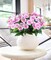 Artificial Impatiens Bouquet Faux ​Impatiens Bushes Pink ​for Patio Lawn Garden 3.94"D x 7.87"W x 15.75"H